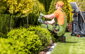 Garten- und Landschaftsbau